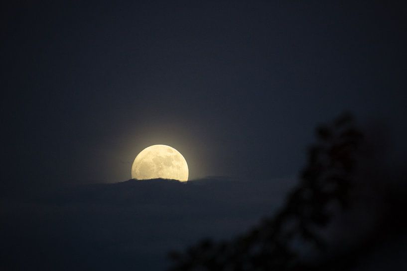 Der Mond ruht auf einer Wolke von Joran Quinten