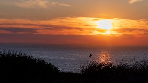 Sunset on the Opal Coast