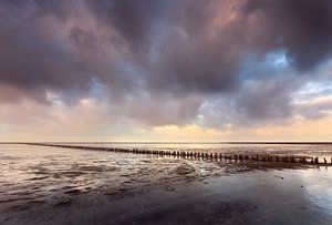 Waddenkust