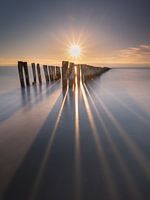 between day and dream