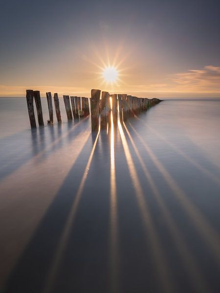 between day and dream by Jeroen van der Pluijm