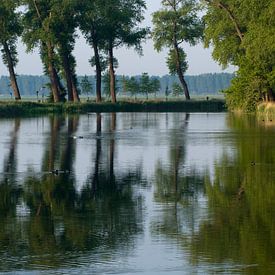 Een vaarwater in Zeeland met weerspiegeling van bomen van Louis en Astrid Drent Fotografie