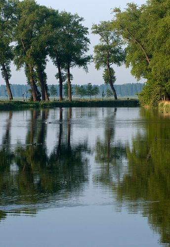 Een vaarwater in Zeeland met weerspiegeling van bomen
