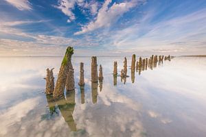 Pfähle im Wattenmeer von Jurjen Veerman