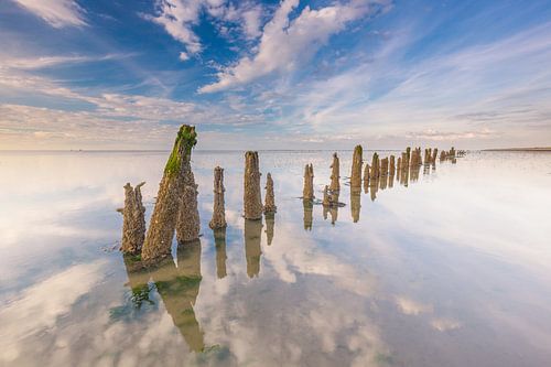 Stakes on the mudflats