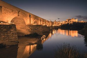 Ein Abend in Cordoba