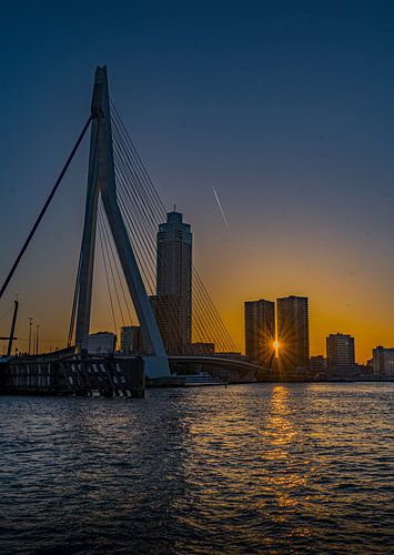 Erasmusbridg during the sunset