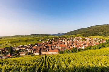 Village viticole de Riquewihr en Alsace - France sur Werner Dieterich