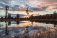 Reflection