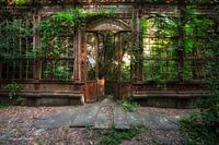 The Greenhouse 7