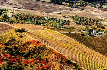 Landschap Serrania de Ronda nabij Ronda Andalucia Spanje van Dieter Walther