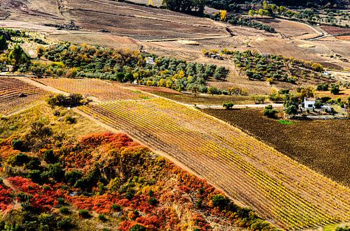 Landschap Serrania de Ronda nabij Ronda Andalucia Spanje