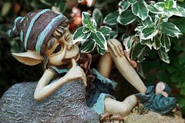 Fairy by Jolanta Mayerberg