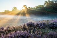 Lever de soleil brumeux