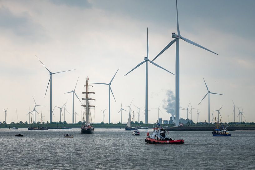 Einsegeln DelfSail 2024 von Jan Georg Meijer
