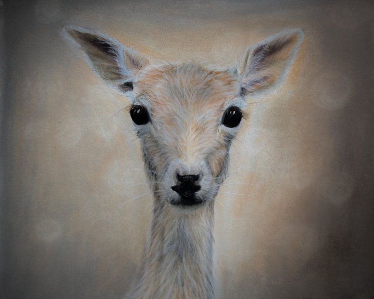 Baby hertje - bos dieren by Samantha Dekker