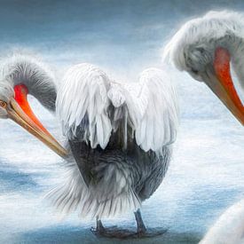 Two pelicans on the ice by Chihong
