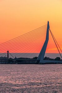 Erasmusbrücke Rotterdam