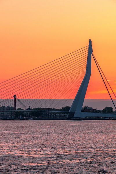 Erasmusbrücke Rotterdam von AdV Photography