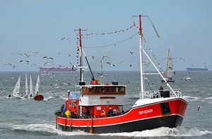 Scheveningen 6