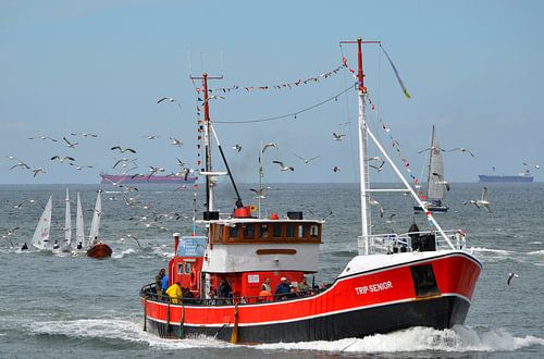 Scheveningen 6