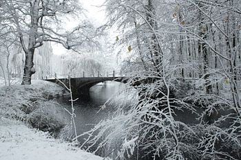 Winters landschap