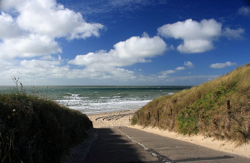 Strand Zoutelande von MSP Canvas