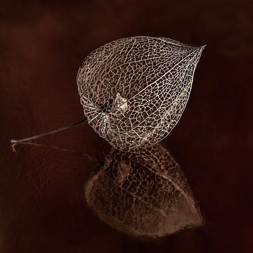 Het goudbruine lampionnetje met warme bruintinten