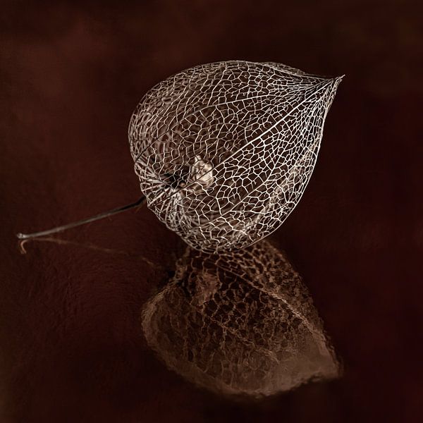The golden brown lantern with warm shades of brown by Marjolijn van den Berg