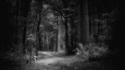 Forêt des contes de fées #5