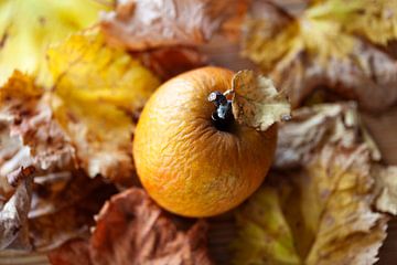 Gerimpelde appel en bladeren in herfstkleuren van Peter de Kievith Fotografie