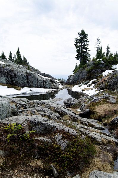 Mt Seymour Vancouver Canada - vue de Vancouver par Ohana