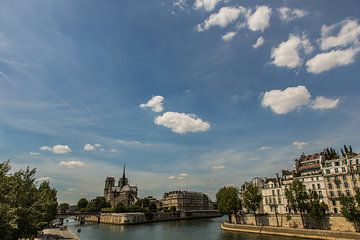 Notre-Dame van Parijs van Melvin Erné