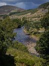 La rivière Isla à Little Forter (Écosse) par Mart Houtman Aperçu