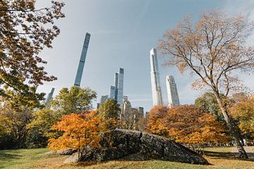 New York City Central Park