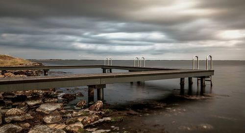 Zwemsteiger in het Grevelingenmeer bij de haven van Ouddorp