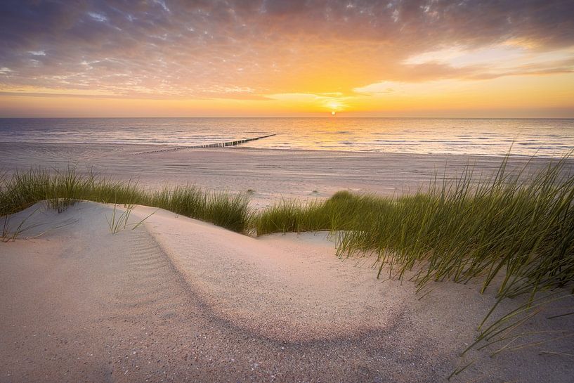 Révérence (dunes et plage de Nieuw-Haamstede) par Thom Brouwer