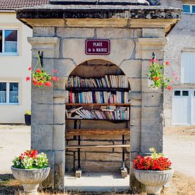 Frankreich, eine Minibibliothek von Blond Beeld