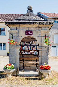France, une mini-bibliothèque sur Blond Beeld