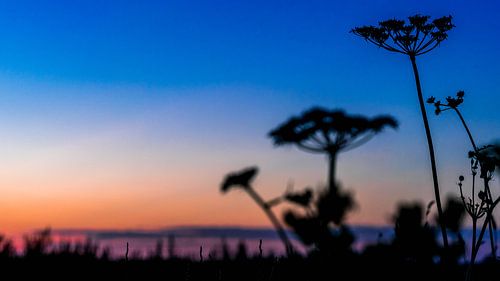 Der gestapelte Sonnenuntergang