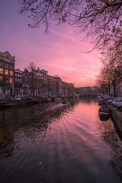 Gloom van Martin Manuel