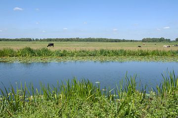 Meije Rivier Groene Hart van Richard Wareham