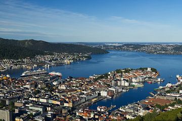 Panoramisch uitzicht op Bergen in Noorwegen van Anja B. Schäfer