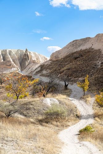 The way by Tilo Grellmann
