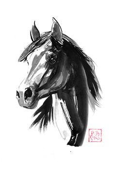 paardenhoofd