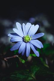 Rathenow „Stadt der Optik“ von David Krause