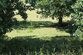 het weiland by Danielle Vd wegen