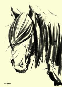 Vent et poils de cheval