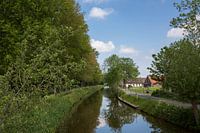 Fotografie natuur