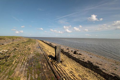 Ameland/Kooikersdunen